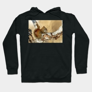 Red Squirrel Hoodie